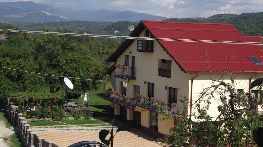 Pensiunea Valea Ursului Cîmpulung Exterior foto